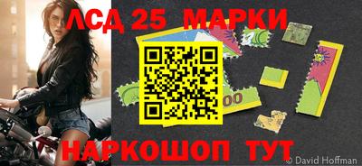 прущие грибы Сланцы