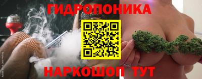 прущие грибы Сланцы