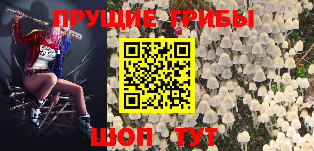 Псилоцибиновые грибы MAGIC MUSHROOMS  Вход с VPN  Нерюнгри 