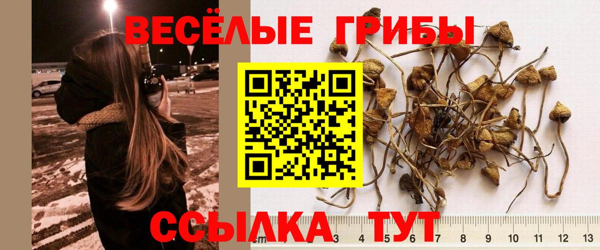 Псилоцибиновые грибы ЛСД Нерюнгри